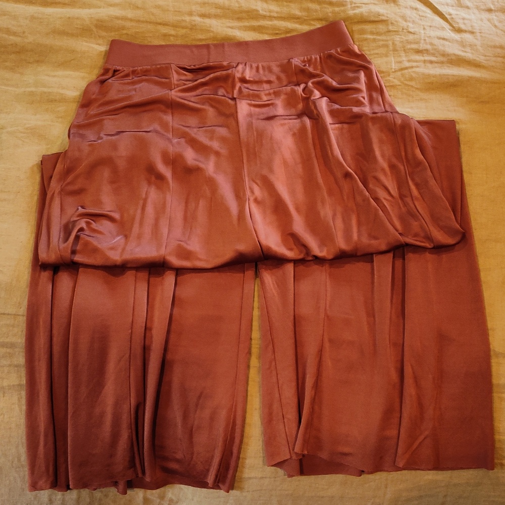 Maeve by Anthropologie Wide Leg Shiloh Cedar Pants M - Picture 2 of 4